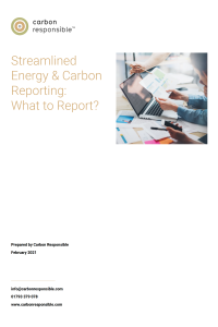 What-to-Report-in-2021 (1)